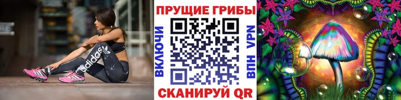 Галлюциногенные грибы Magic Shrooms Мензелинск